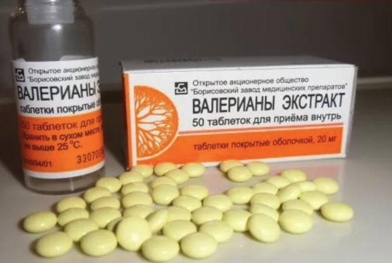 Снотворное для собак: можно ли давать, какие таблетки применяются для ...